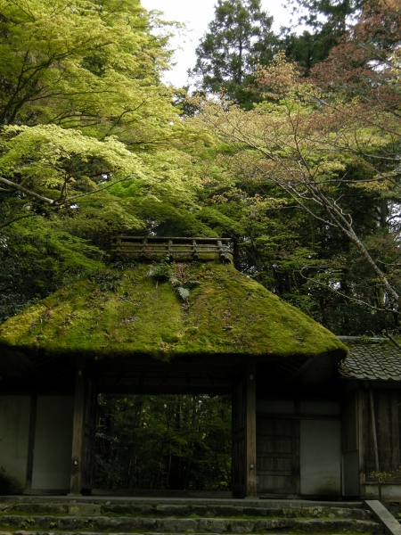 DSCN4763%20%28450x600%29.jpg