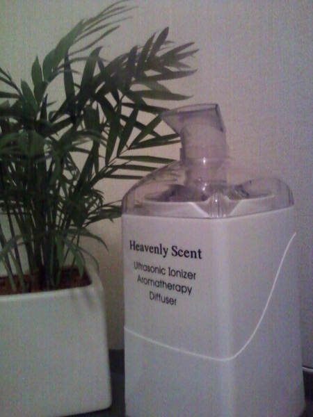 Heavenly%20SCENT.jpg